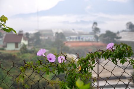 DSC 0337