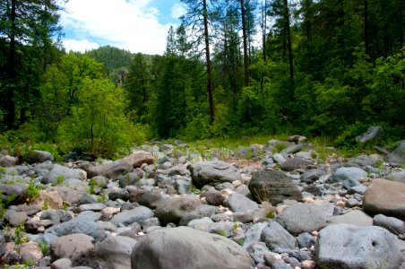 Little L.O. Trail No. 6