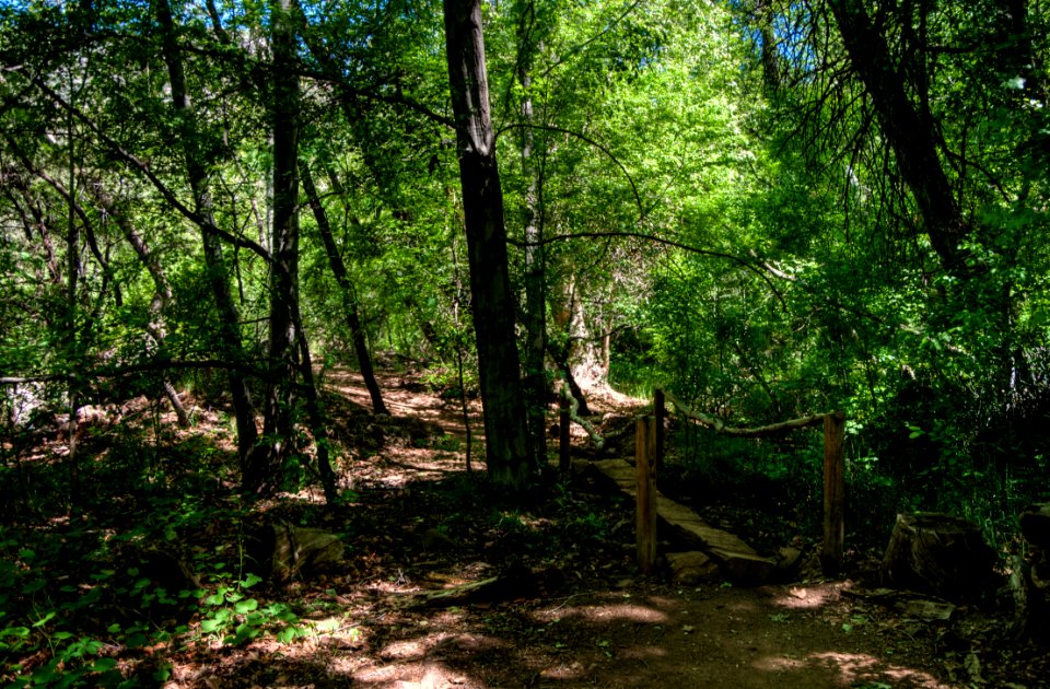 Waterfall Trail on Fossil Creek