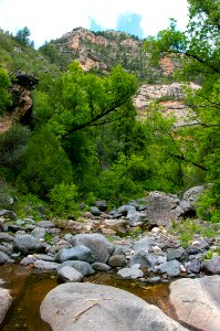Little L.O. Trail No. 6