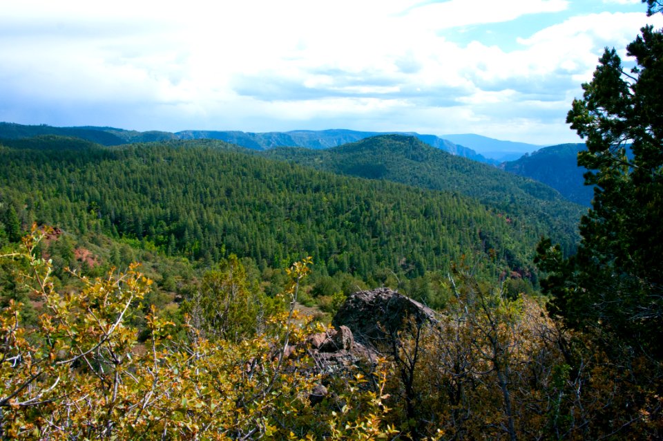 Kelsey Trail No. 3
