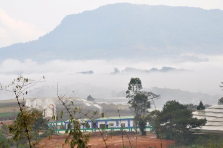 DSC 0329