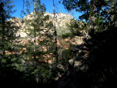David Miller Trail