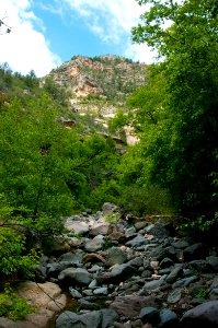 Little L.O. Trail No. 6