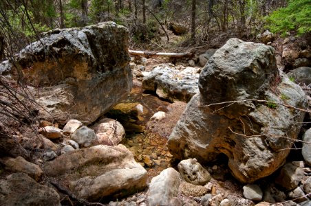 West Fork of Oak Creek