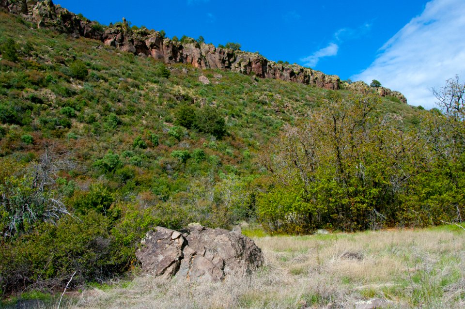 Kelsey Trail No. 3