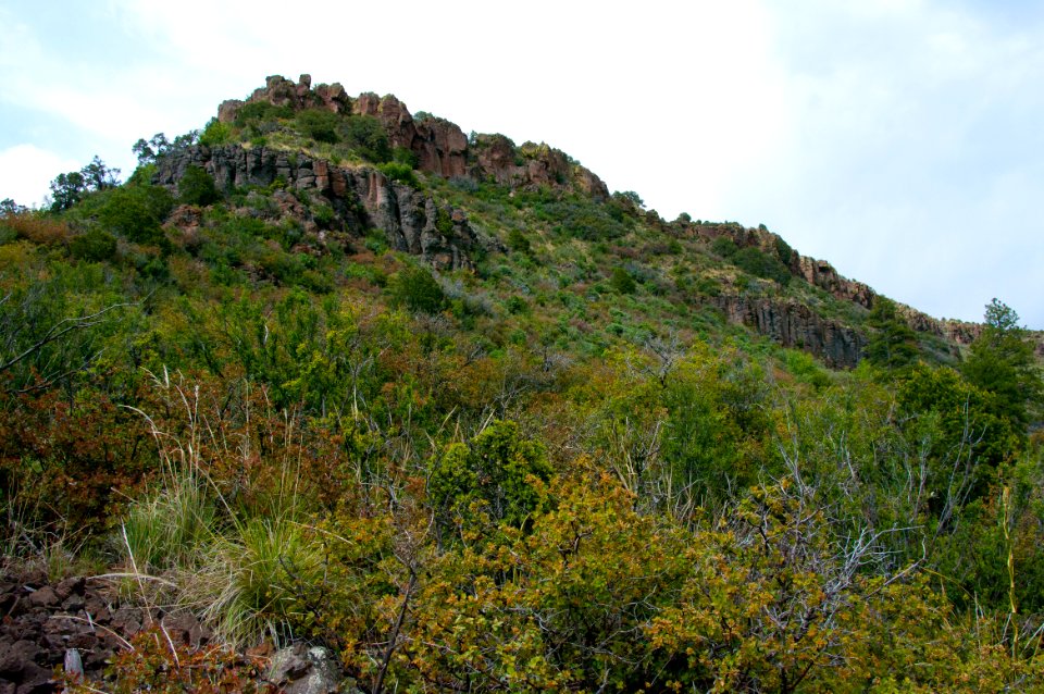 Kelsey Trail No. 3