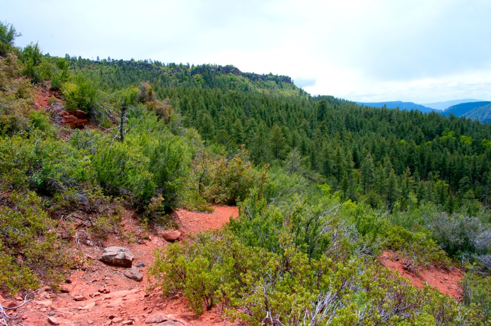 Kelsey Trail No. 3