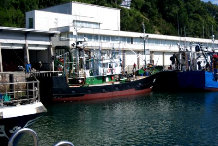 Barcos Hondarribia