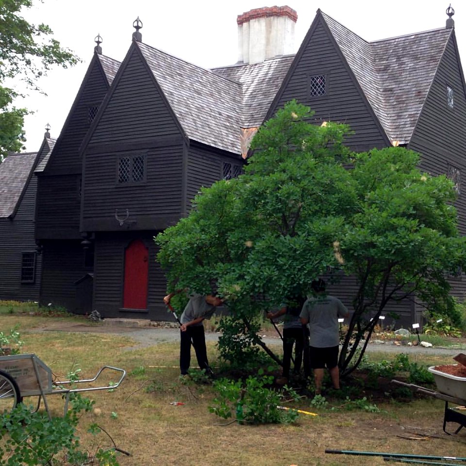 It's Monday at the #ironworks and the #futureleaders of #essexheritage are working hard to keep the #saugusironworks in top shape. Steve, Jenna, and Andrew trim and clean up a European Smoke Bush in front of the Iron Works House. Wanna make a difference t