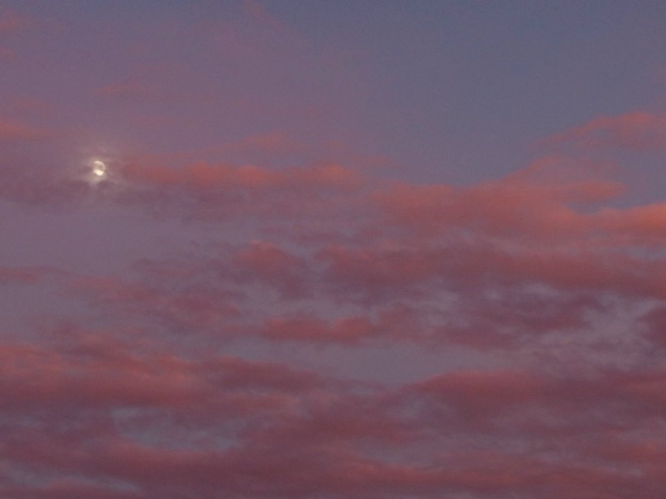 130916-175916-P9160195