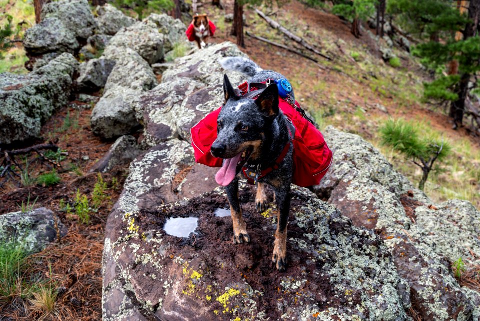 Crater Hike (August 26, 2018)