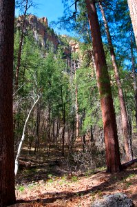 Secret Canyon Trail