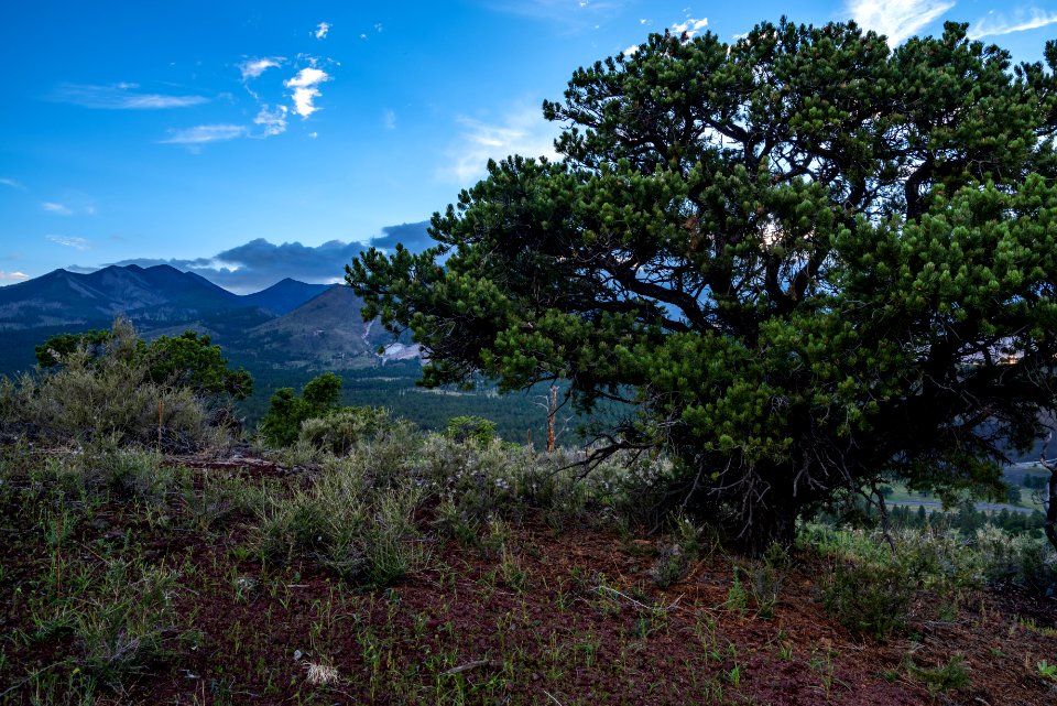 San Francisco Peaks