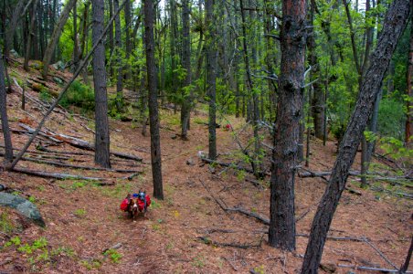 Kelsey Trail No. 3