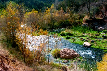 Fossil Springs Wilderness: Springs Area