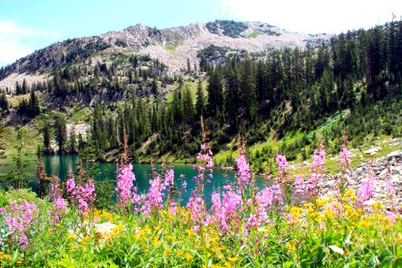 Red Pine Lake