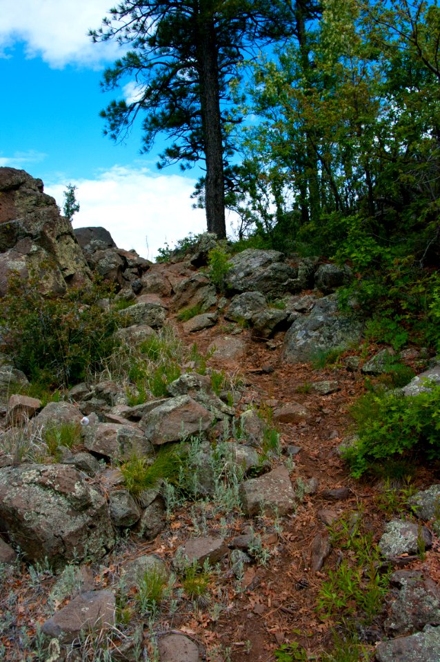 Kelsey Trail No. 3