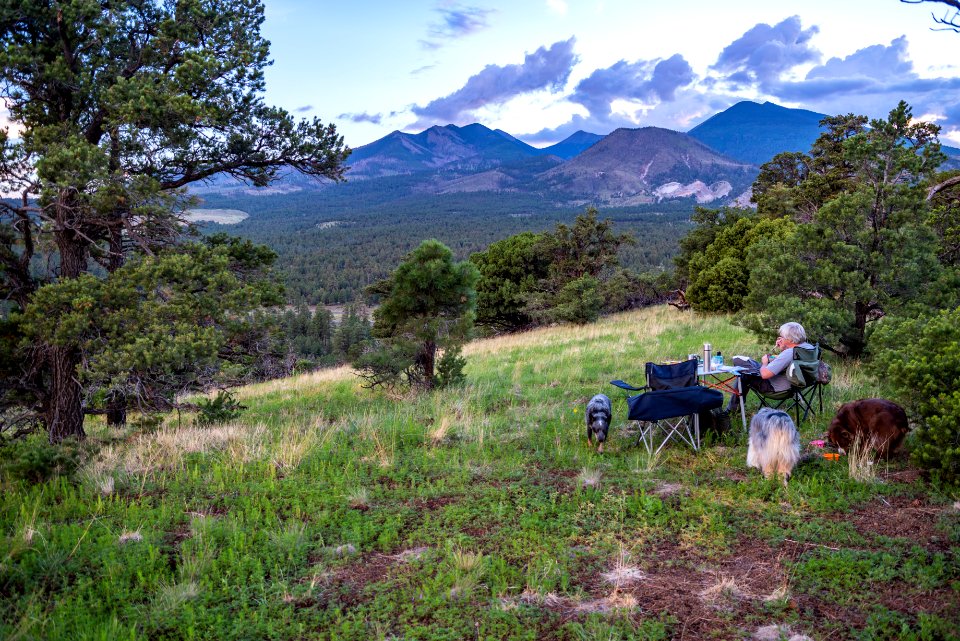 San Francisco Peaks