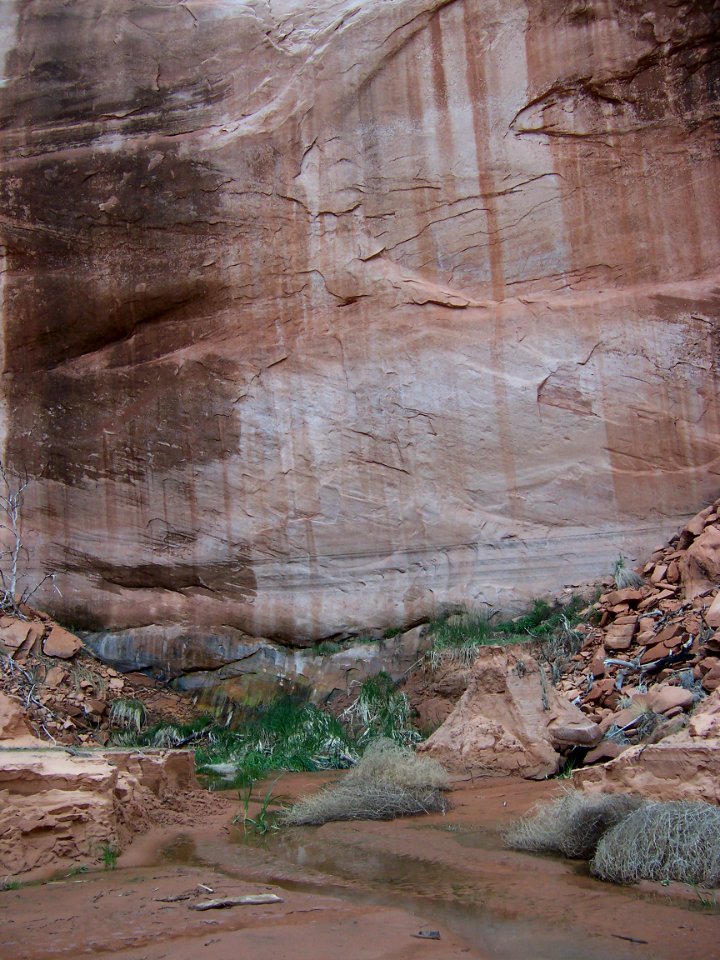 Lake Powell - Davis Gulch 2005