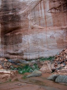 Lake Powell - Davis Gulch 2005
