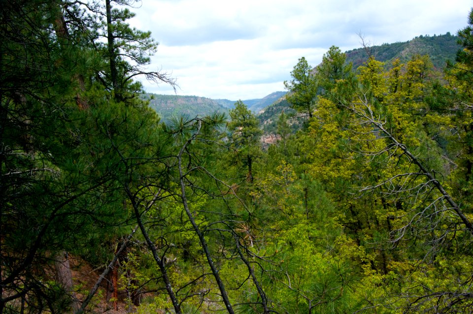 Kelsey Trail No. 3
