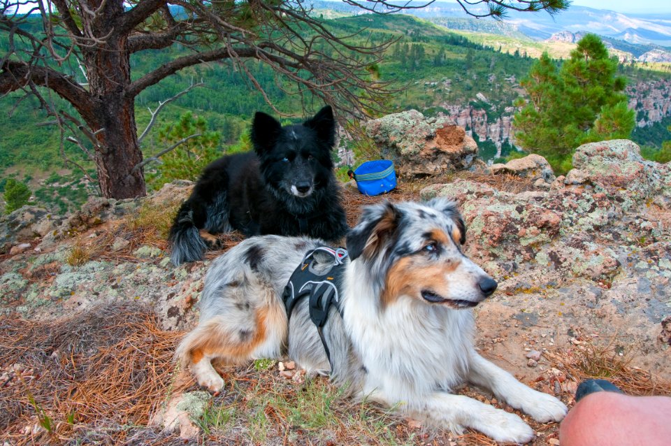 Saddle Mountain Trail