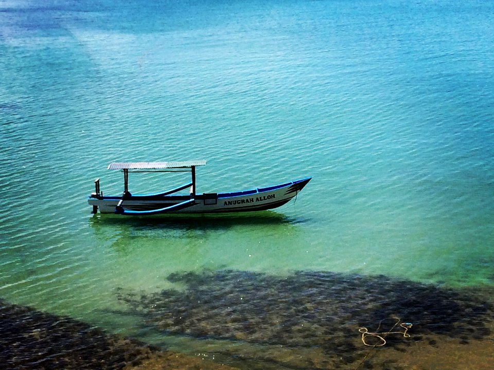 Lucky shoot today. With iPhone camera. Smartphonegraphy