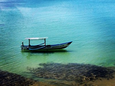 Lucky shoot today. With iPhone camera. Smartphonegraphy