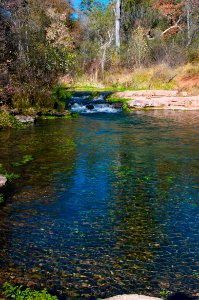 Fossil Springs Wilderness: Springs Area