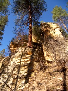 Vultee's Arch-Sterling Pass Trails Hike