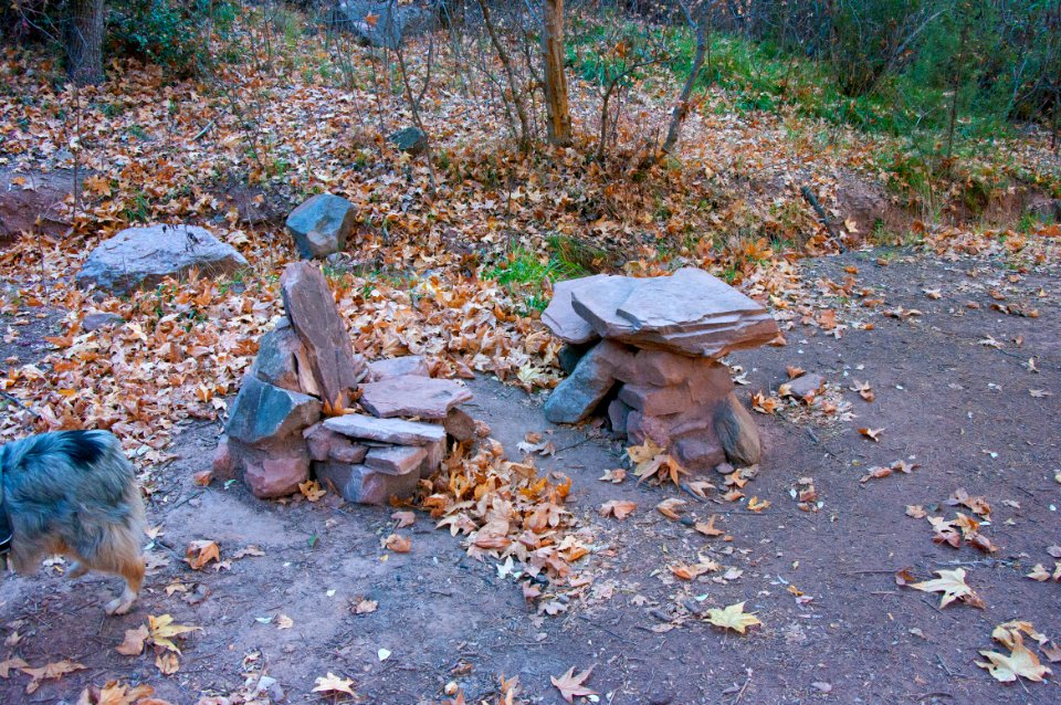 Fossil Springs Wilderness: Springs Area