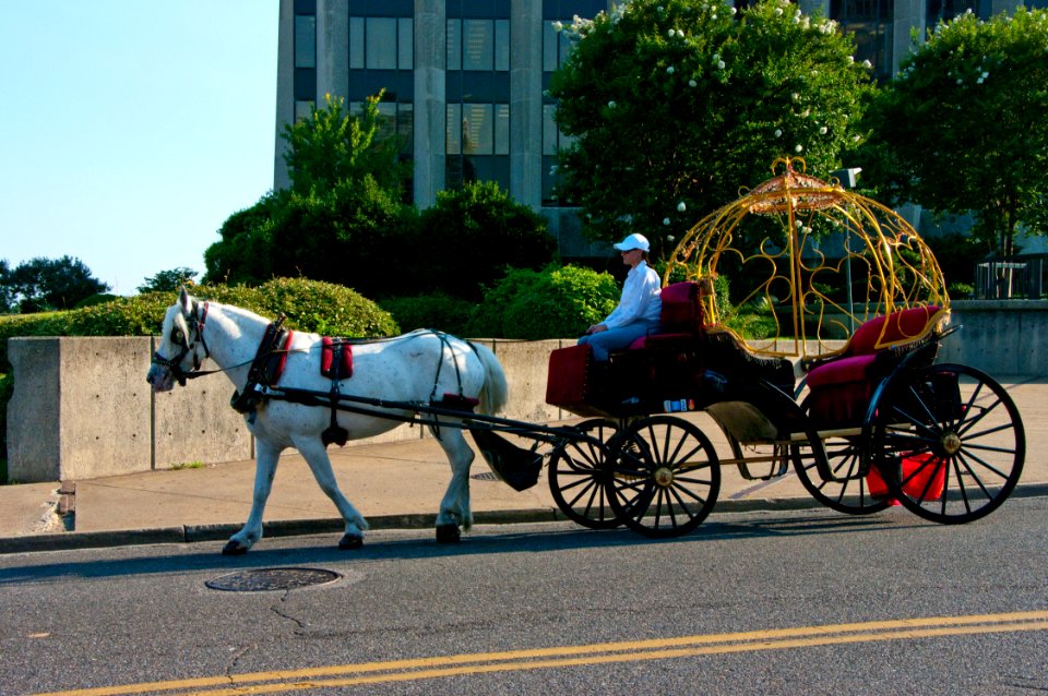 Road Trip: Downtown Memphis