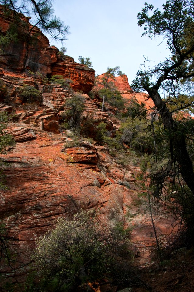 Loy Canyon Trail