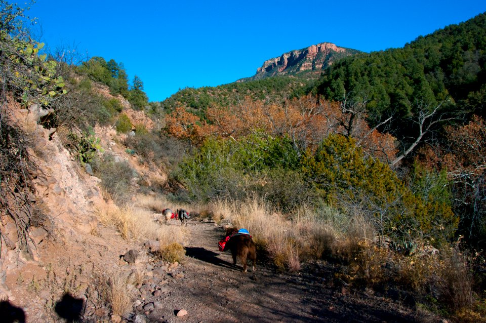 Flume Trail