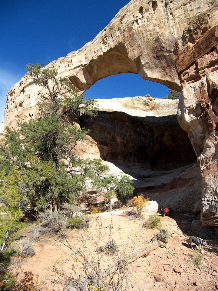 Sam Pollock Arch