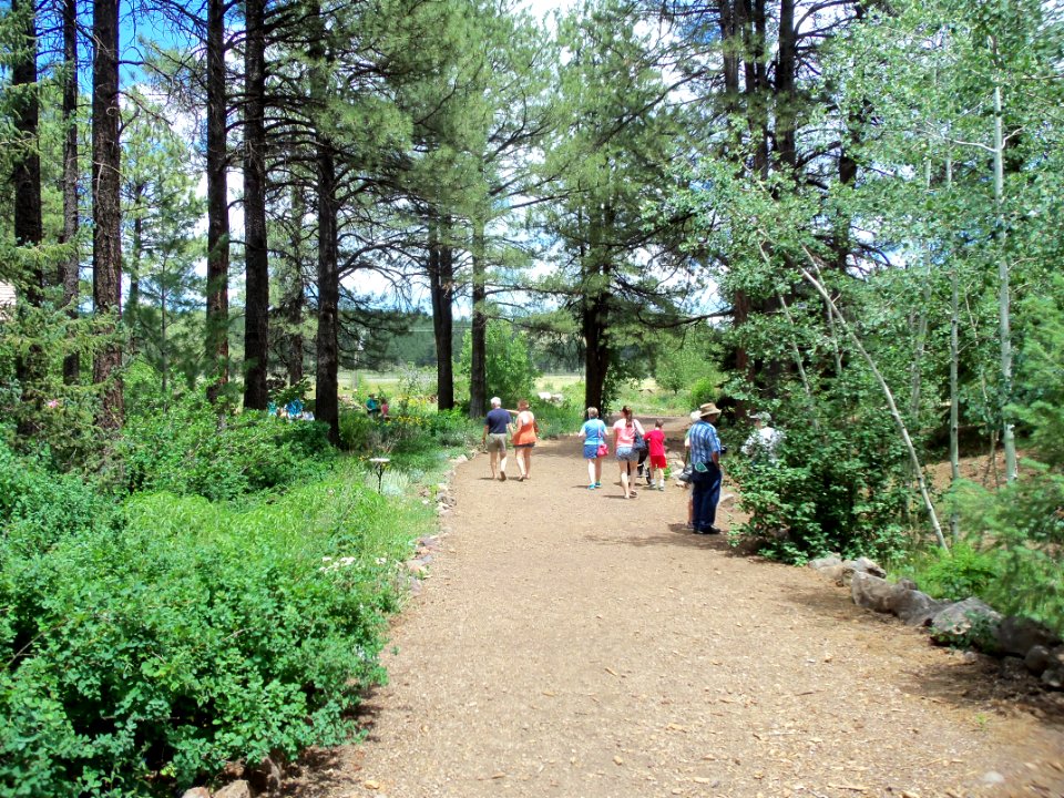 Arboretum at Flagstaff Penstemon Festival