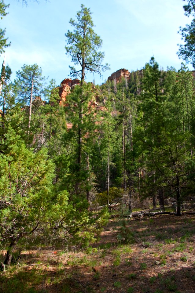 Secret Canyon Trail