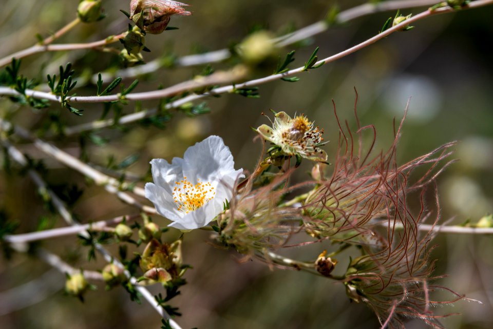 Crater Hike (August 26, 2018)