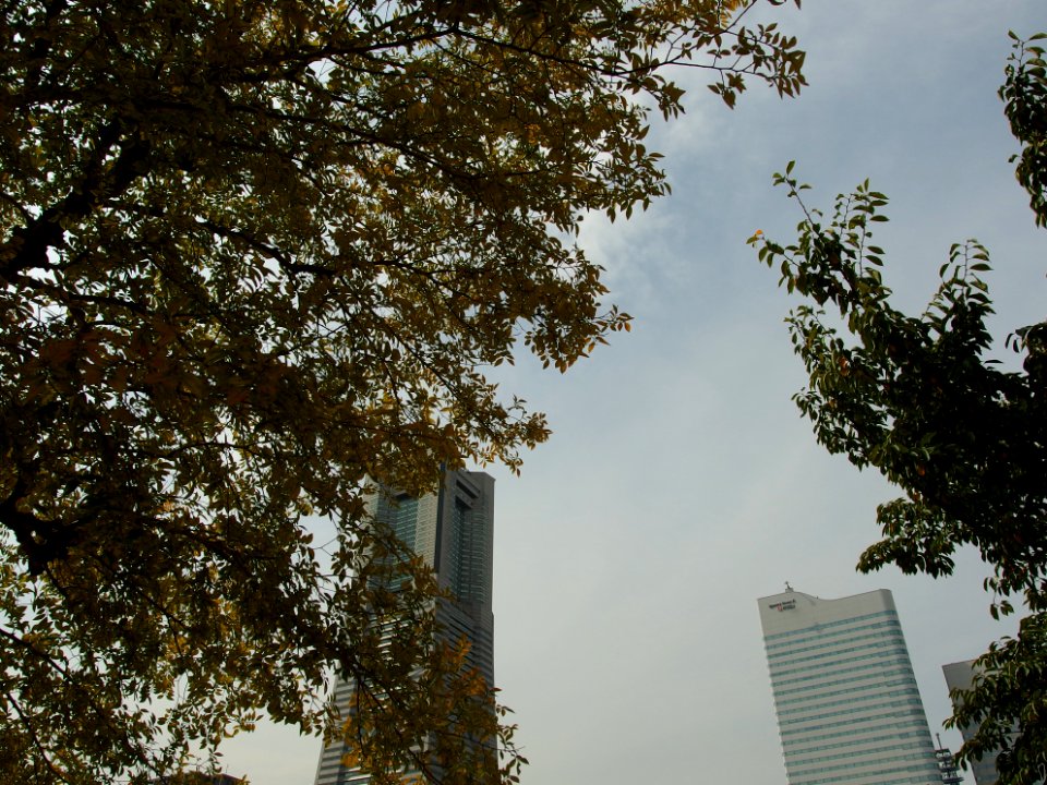 140919-131454-P9190781