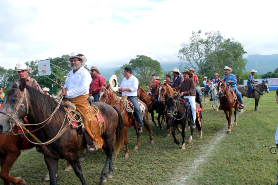 caballos cabalgata cd ocampo
