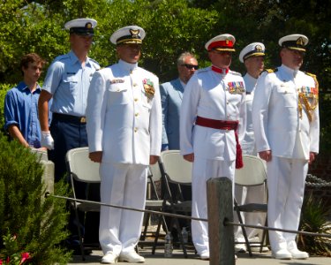 Allies at Attention