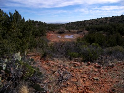 Mooney Trail photo