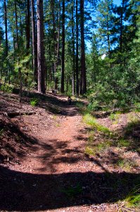 Rainbow Rim Trail
