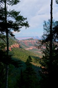 Kaibab Plateau Trail 101