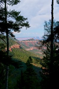 Kaibab Plateau Trail 101 photo