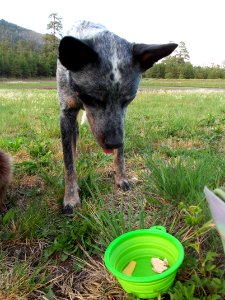 Picnic Dinner at Schultz Tank