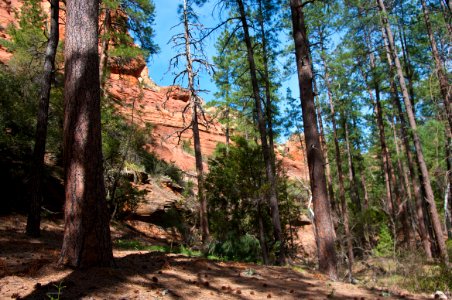 Secret Canyon Trail
