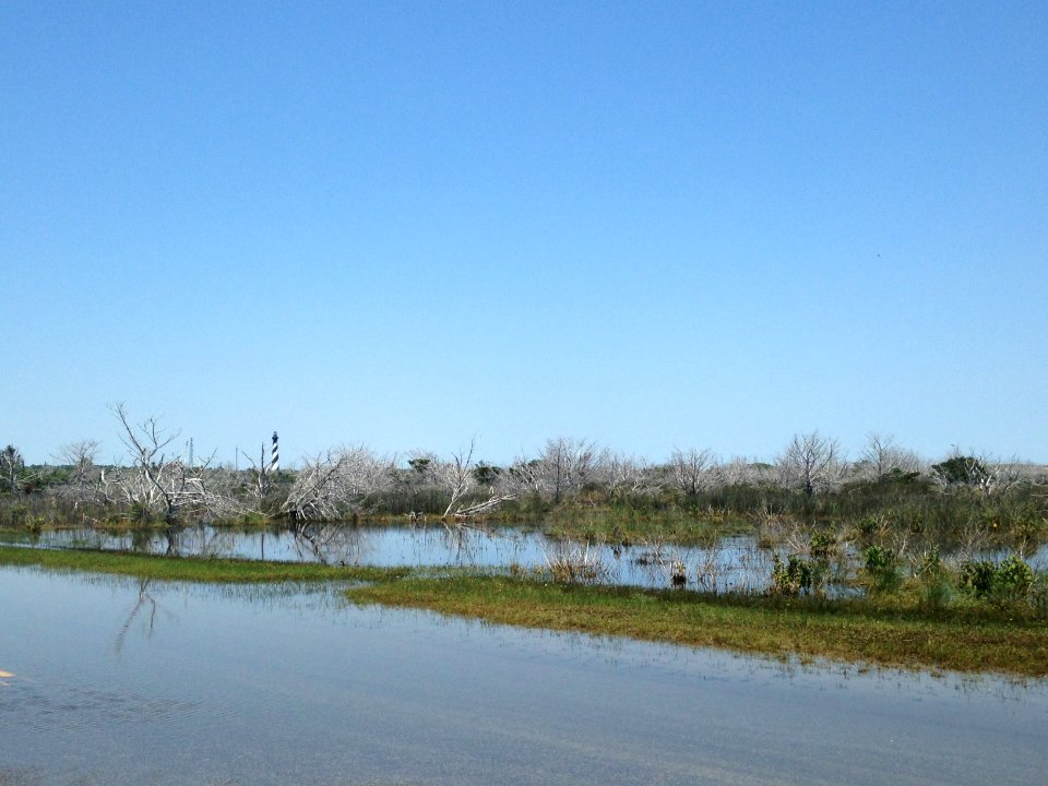 View of the Cape Hatteras Lighthouse from Lighthouse Road