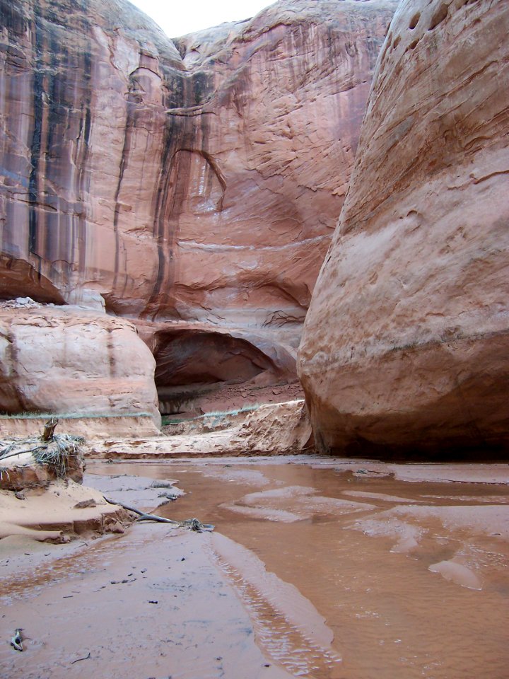 Lake Powell - Davis Gulch 2005